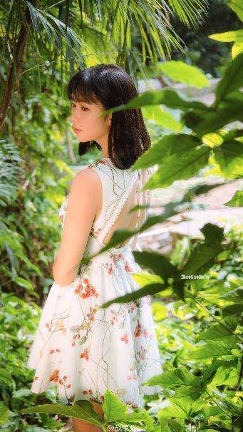 免费完整观看《完美世界》？这些渠道你知道吗！